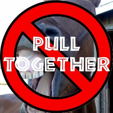 Click here for information about "Pull Together"